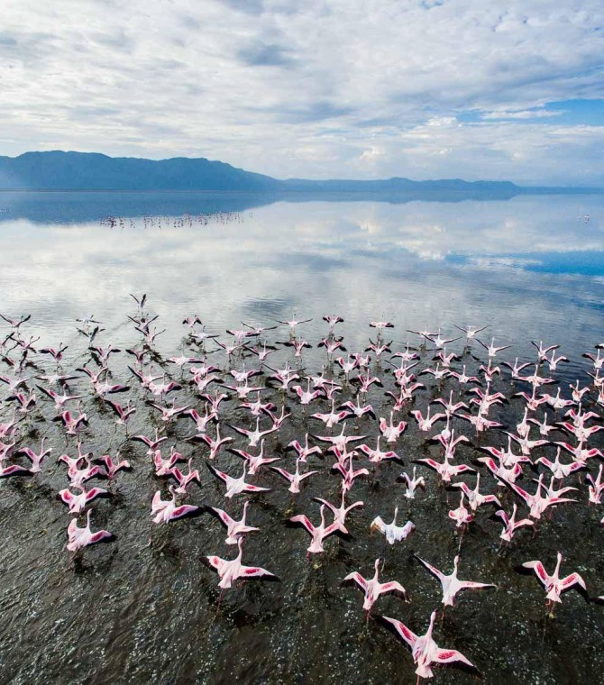 Safari in Eastern or Southern Africa? Which suits you best?